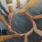 Full Circle Training & Development