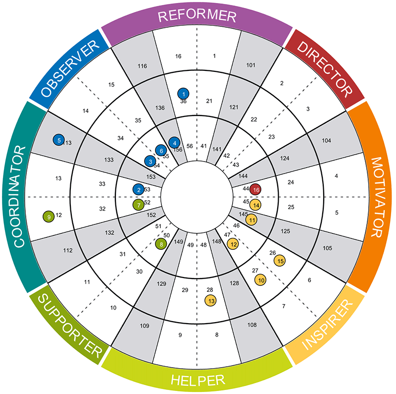 Insights Team Wheel